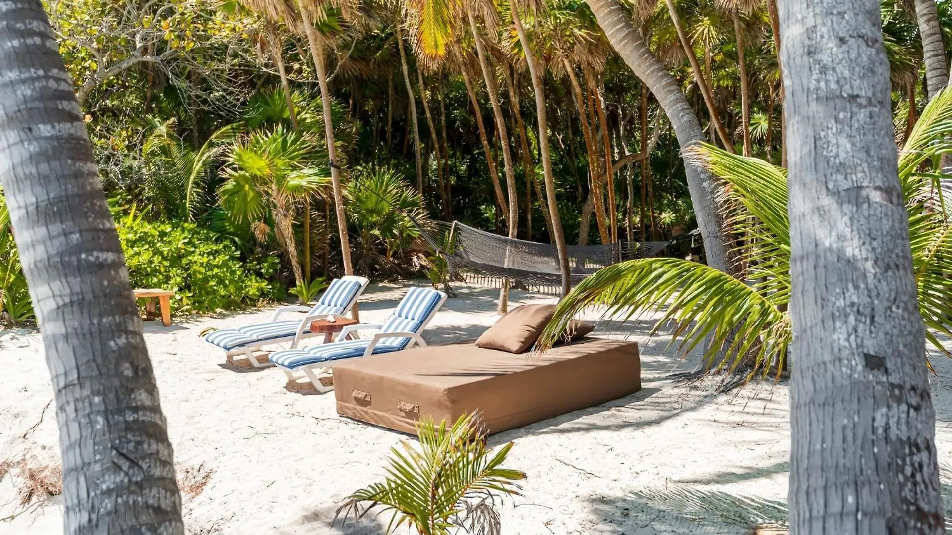 Casa vacanze Amazing Eco Palapa At Private Beach In Sian Kaan. Tulum